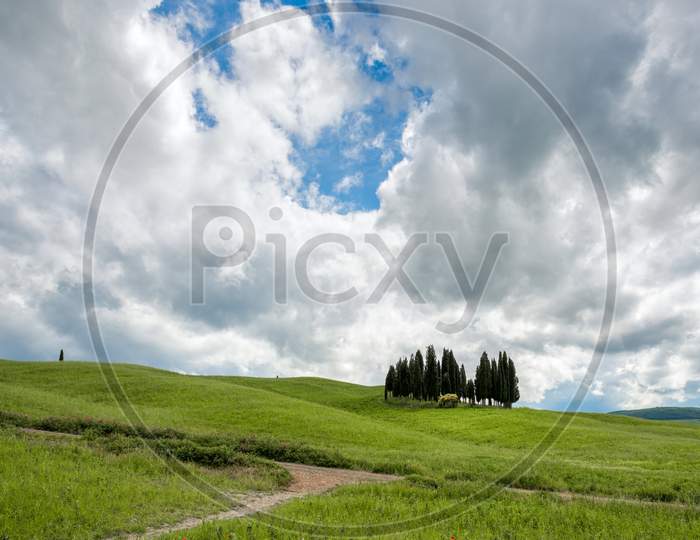 View Of The Scenic Tuscan Countryside