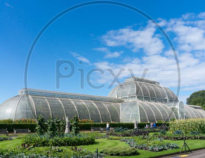 Palm House At Kew Gardens