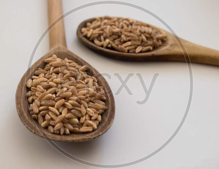 Wheat Grains In Two Wooden Spoons
