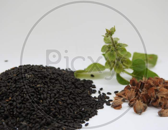 Closeup of Chia, Salvia hispanica Pile of seeds with flowers on white background