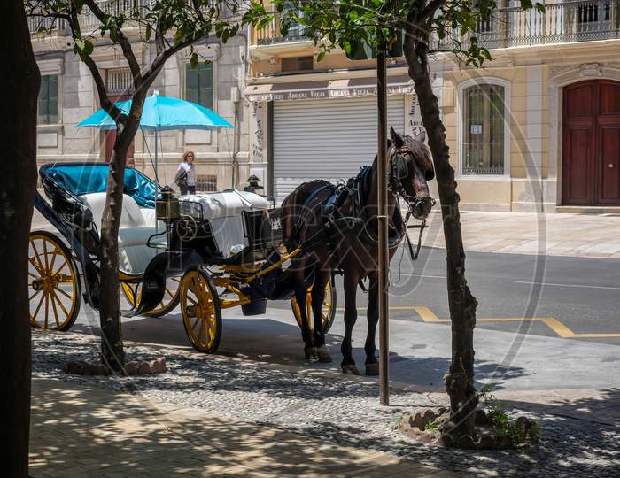Traditional Horse And Carriage Waiting For Customers In Malaga