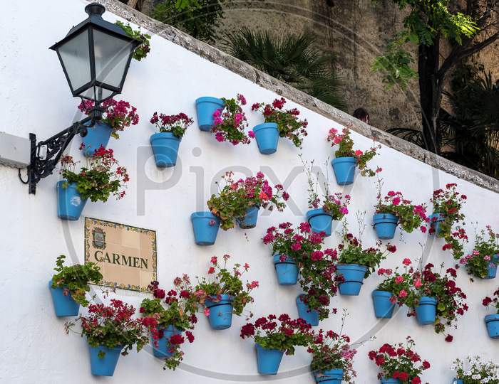 Red Flowers In Blue Flowerpots In The Old Town Of Marbella