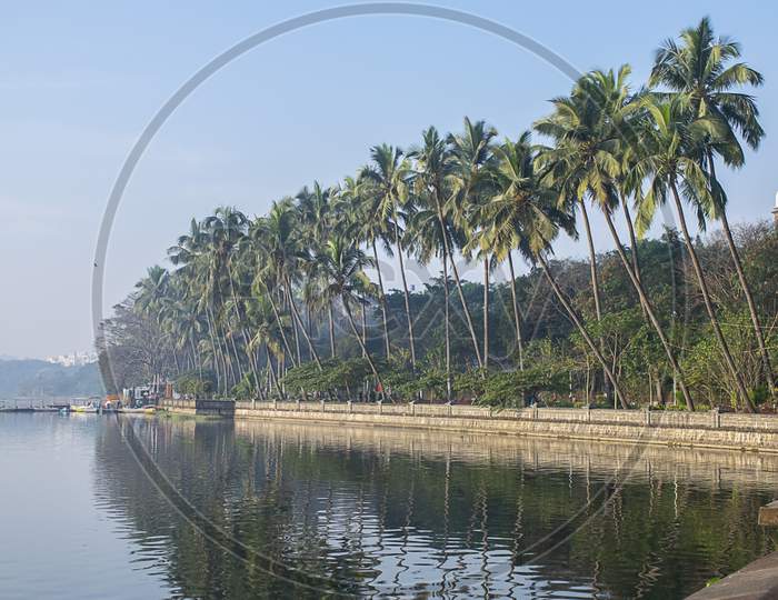 Stock Photo Of Beautiful Old Rankala Lake Surrounded By Coconut Trees And Reflected In Lake Water. Picture Captured Morning Of Winter Season At Kolhapur City Maharashtra India.