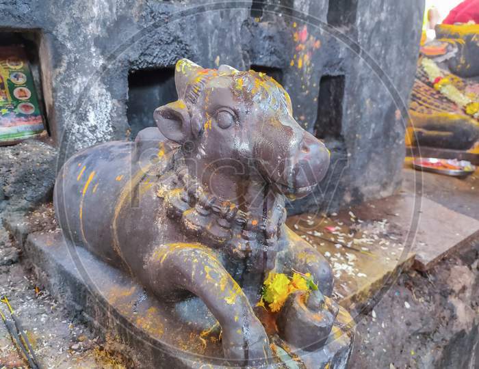 Stock Photo Of Ancient Nandi Bull Carved Out Of Grey Stone Applied Turmeric On The Bull For Performing Rituals, Focus On Nandi Statue At Mailar Karnataka India.