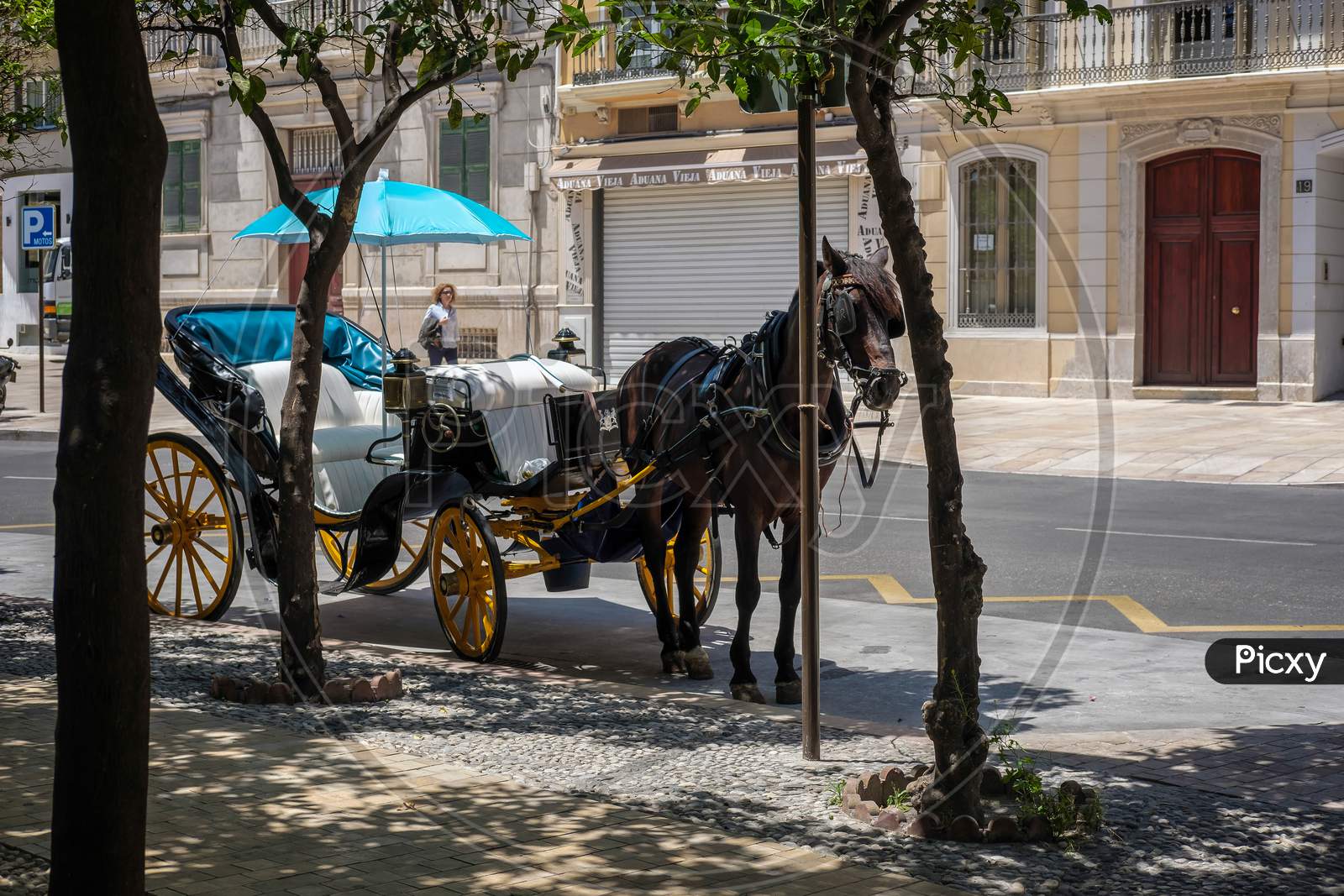 Traditional Horse And Carriage Waiting For Customers In Malaga