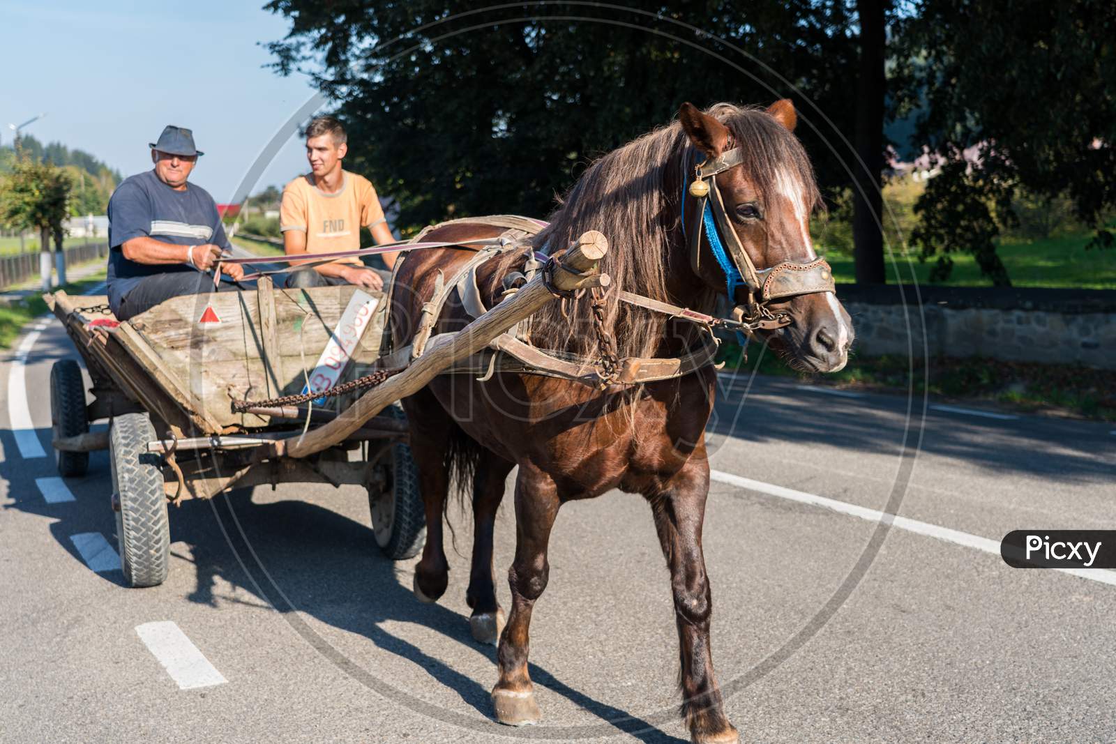 Sucevita, Moldovia/Romania - September 18 : Two Men With A Horse And Cart In Sucevita In Moldovia Romania On September 18, 2018. Two Unidentified People