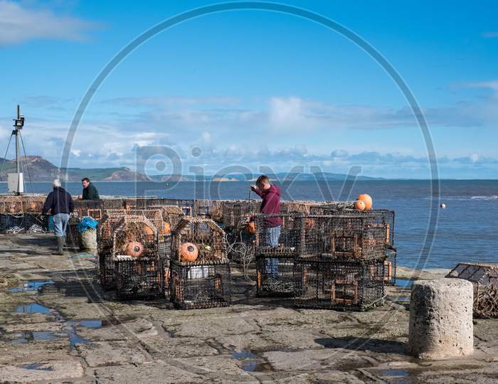 Fishermen Repairing Their Lobster Pots On The Harbour Wall At Lyme Regis