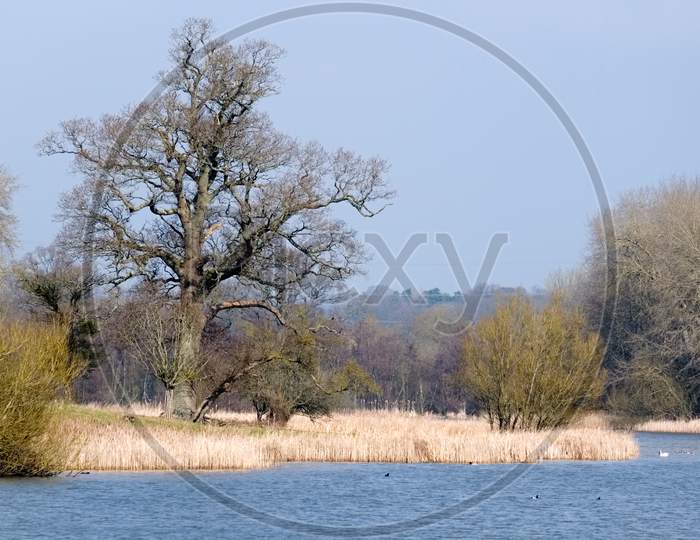 View Of Kneppmill Lake On A Sunny Spring Day