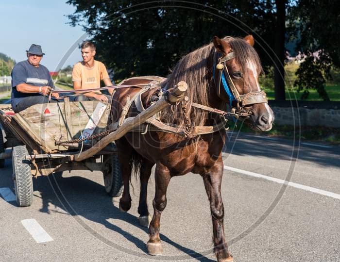 Sucevita, Moldovia/Romania - September 18 : Two Men With A Horse And Cart In Sucevita In Moldovia Romania On September 18, 2018. Two Unidentified People