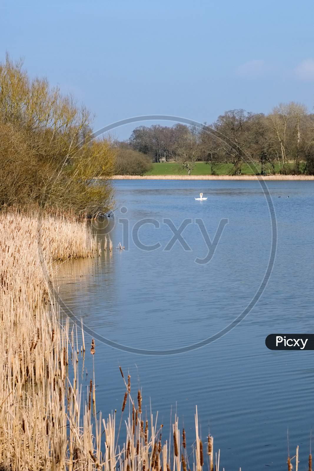 View Of Kneppmill Lake On A Sunny Spring Day