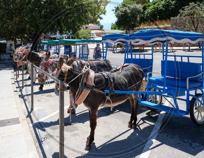Mijas, Andalucia/Spain - July 3 : Donkey Taxi In Mijas Andalucía Spain On July 3, 2017. Unidentified People