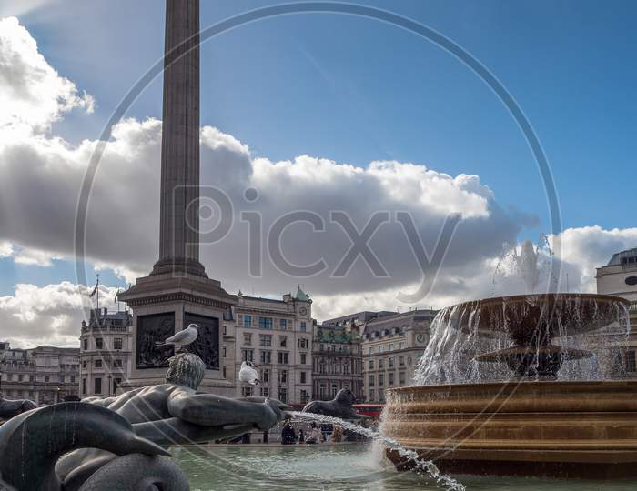 View Of Trafalgar Square