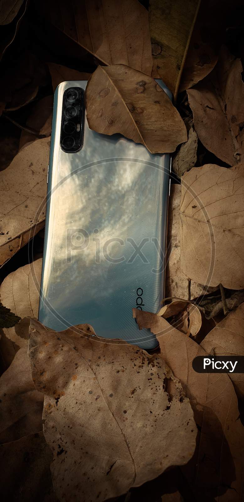 Phone under leaves