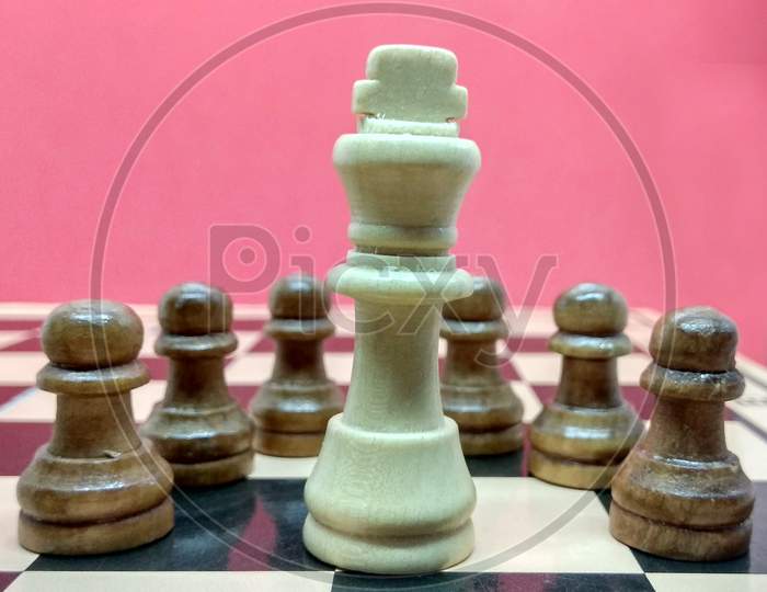 Chess concept of business, job or market showing different pose like fighter, leader, discipline, out of the box, in the air, opponent win