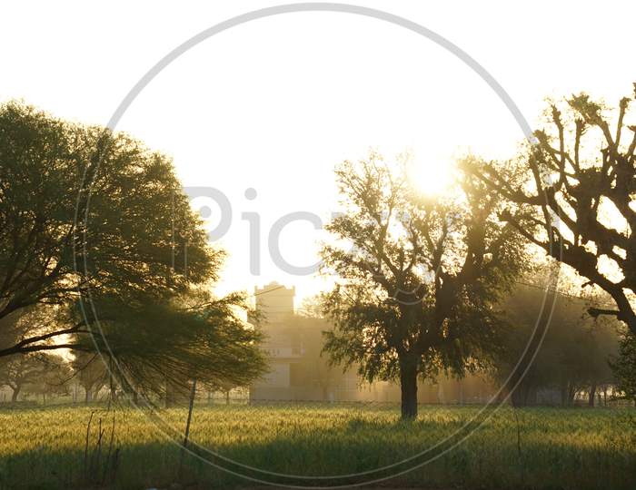 Empty Landscape View With Sunrise Or Sunset View. Beautiful Countryside India Scene With Golden Beauty Sun Sky Nature.