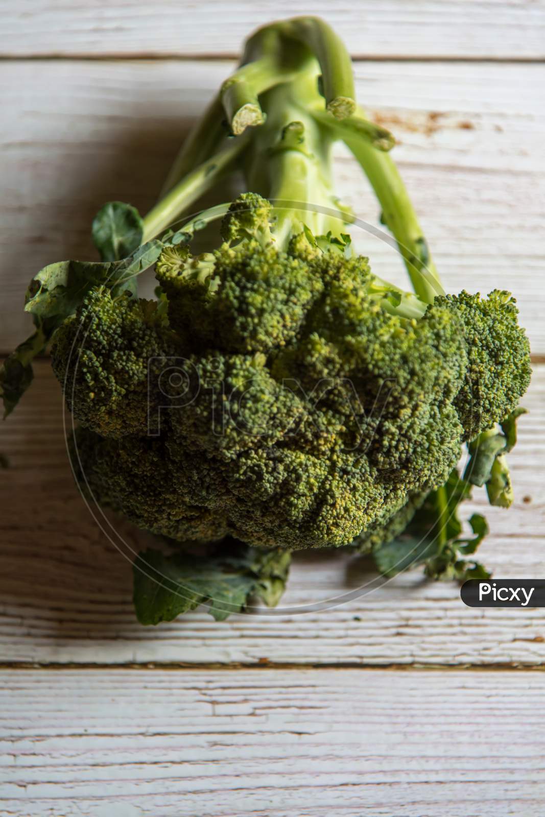 Healthy vegetable raw broccoli on a background