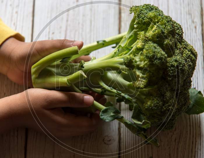 Close up of hands holding broccoli