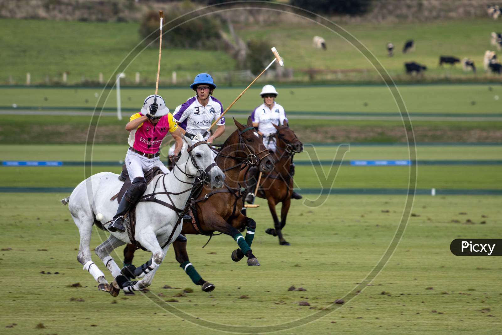 Midhurst, West Sussex/Uk - September 1 : Playing Polo In Midhurst, West Sussex On September 1, 2020.  Three Unidentified People