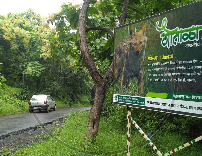 Gautala wildlife sanctuary Aurangabad