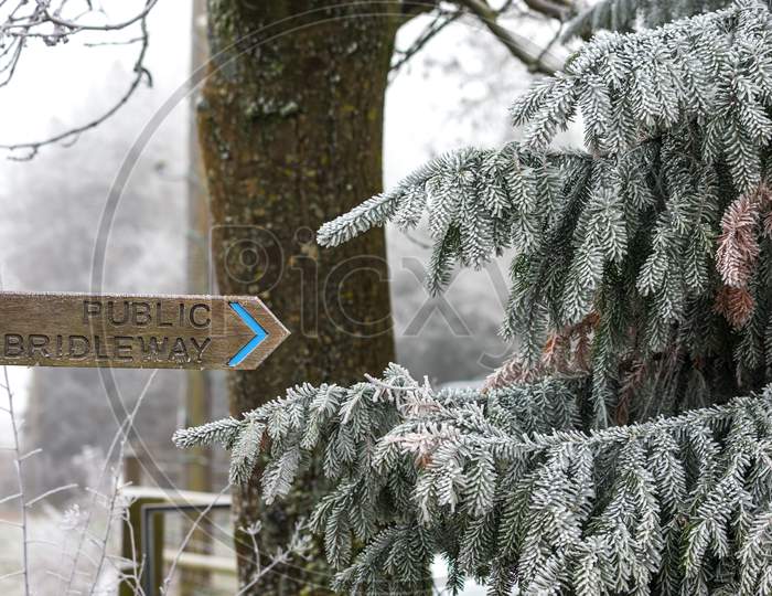 Pine Tree Covered With Hoar Frost Pointing To A Public Bridelway Signpost