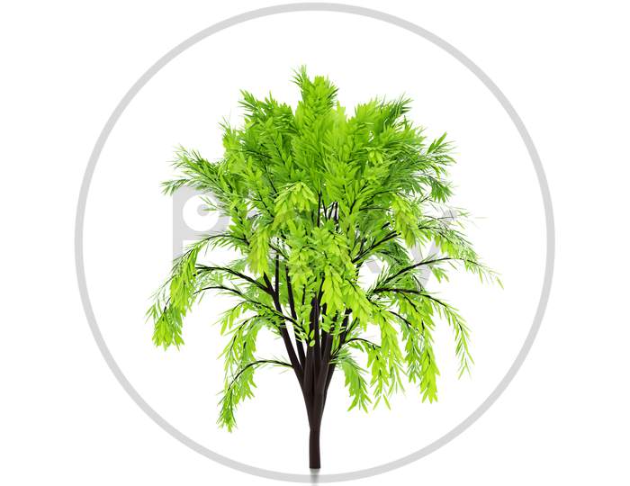 3D Illustration Of Realistic Green Decorative Tree Isolated On White Background. Stylized Deciduous Tree