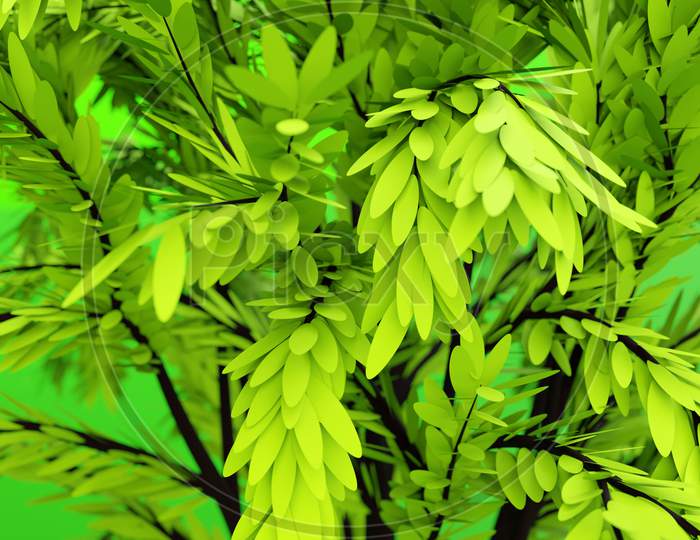 3D Illustration  Close Up Of Realistic Green Decorative Tree Isolated On  Green Background. Stylized Deciduous Tree