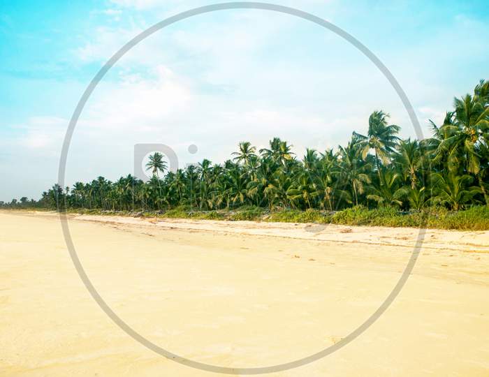 clean Beach and tropical sea landscape