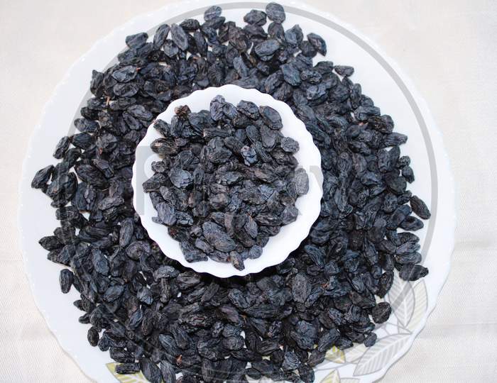 Fresh black raisins stock photography