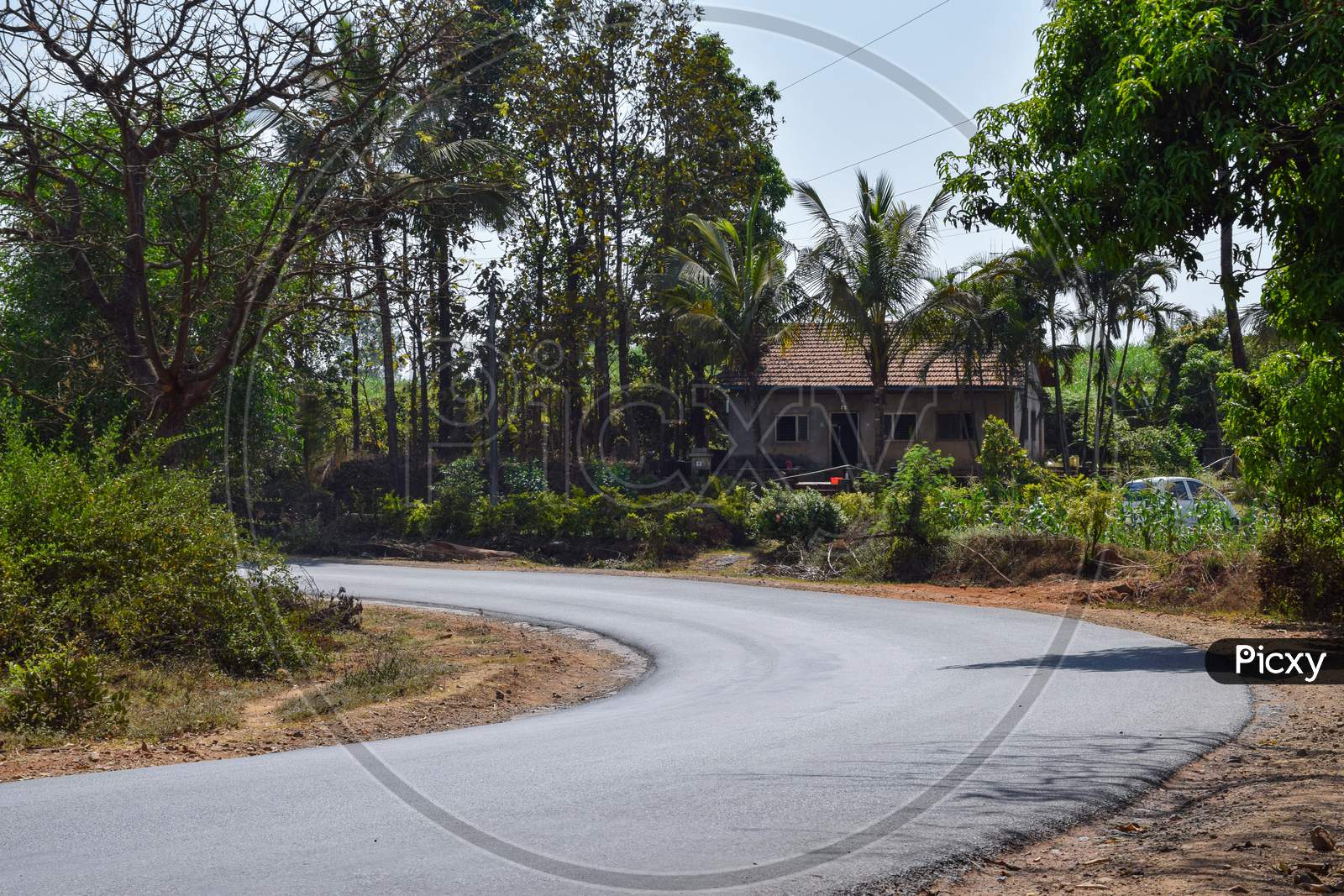 Picture Of Curved Empty Asphalt Road Shining In Afternoon Bright Sunlight Covered With Green Trees. Small Farmhouse Constructed Using Clay Made Roof Tiles Beside The Road At Kolhapur City Maharashtra India.
