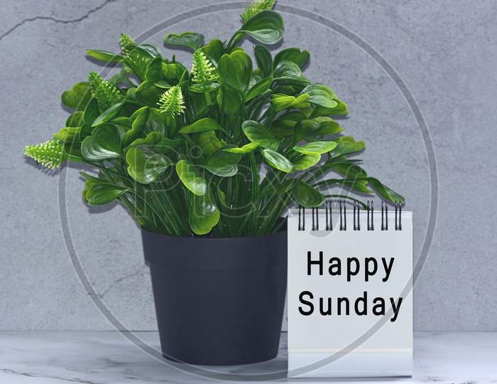 Text on white stand paper with green plant background - Happy Sunday