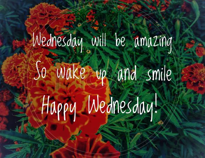 Image with wordings or quotes about Wednesday