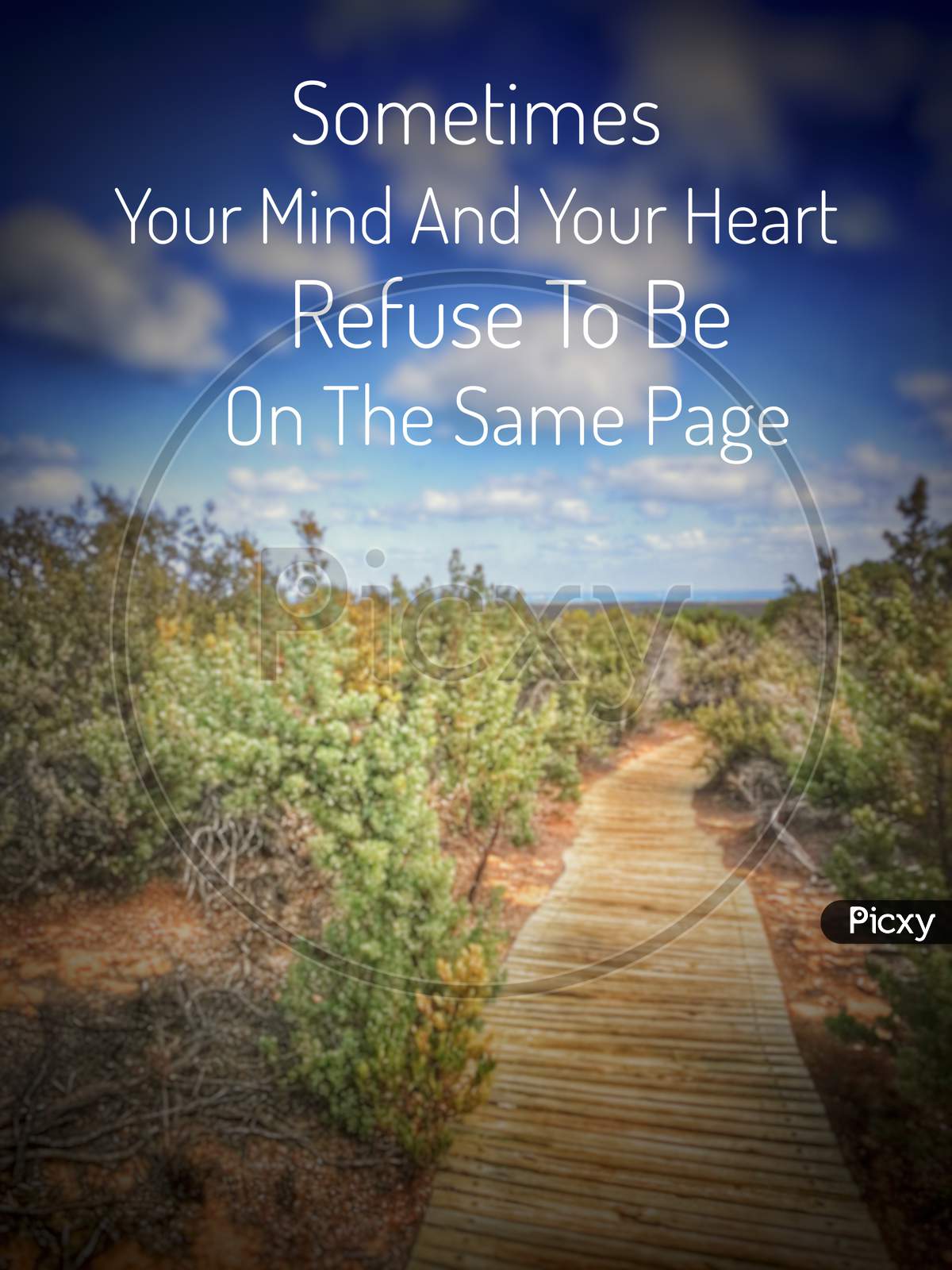 Inspirational and motivational quote - Sometimes your mind and your heart refuse to be on the same page