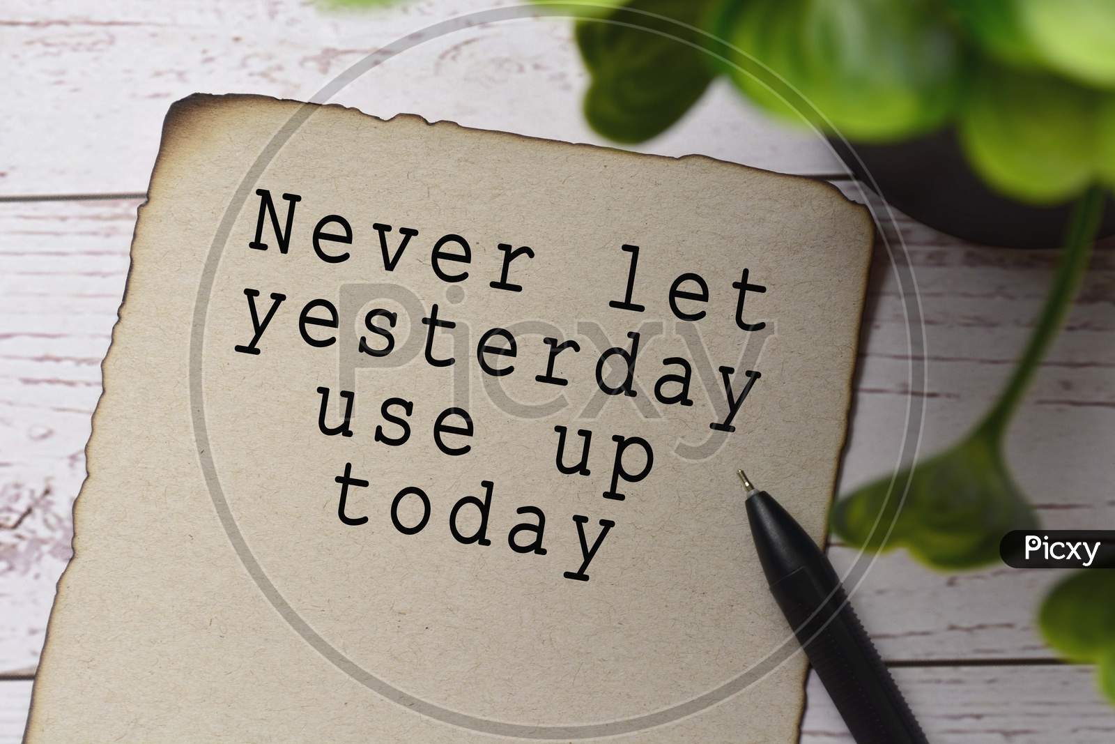 Motivational and inspirational quote on burnt edge brown paper with blurred green plant on wooden desk - Never let yesterday use up today