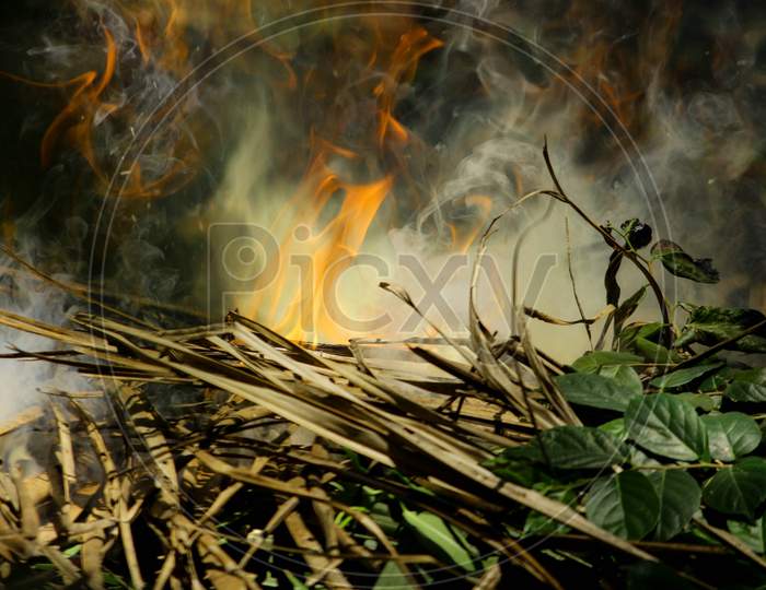 Danger Flames Burn,Blaze , Heat , Lighting On Dry Coconut Leaves