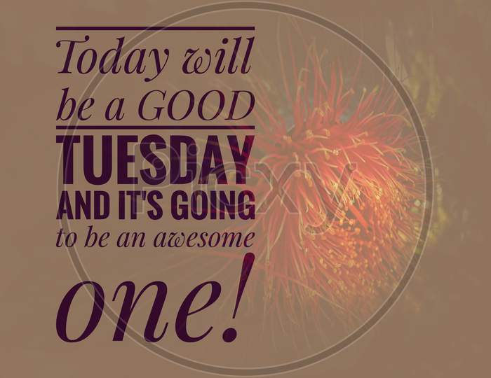 Image with wordings or quotes about Tuesday