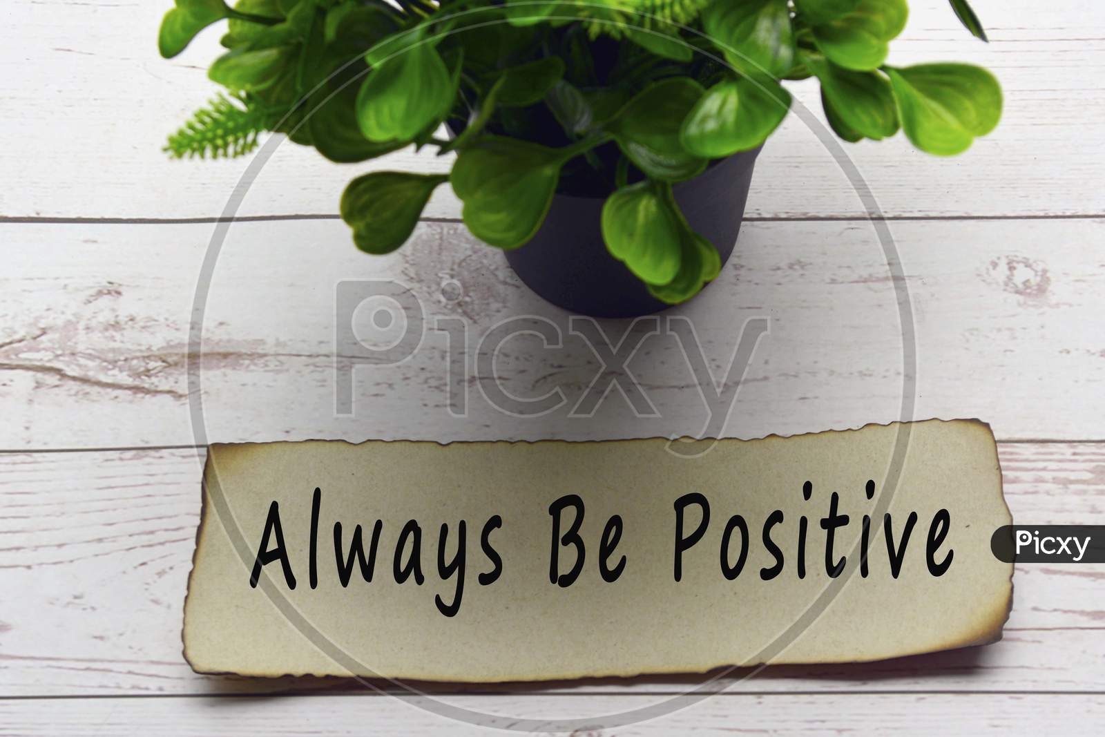 Motivational and inspirational quote on burnt edge brown paper with blurred plant background on wooden desk