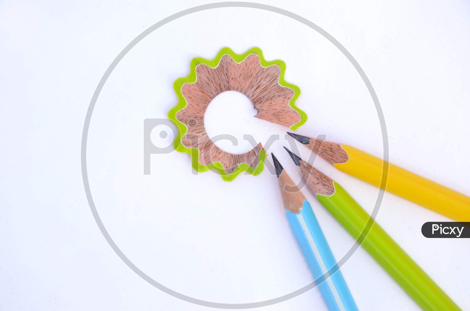 Bunch The Colorful Wooden Peels Pencils With Waste Flower Isolated On White Background.