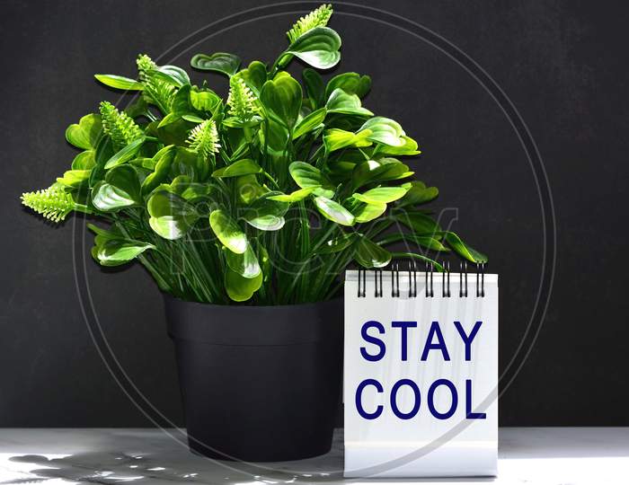 Text on white stand paper with green plant and dark background - Stay cool