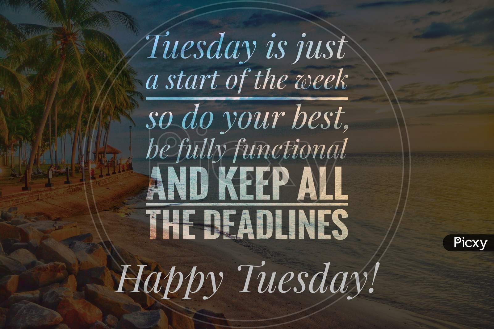 Image with wordings or quotes for happy Tuesday
