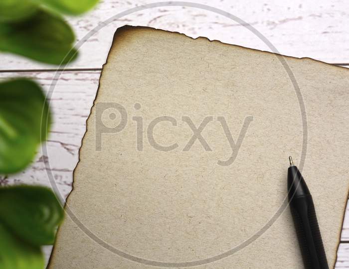 Burnt edge brown paper with space for text with blurred green plant on wooden desk. For text use