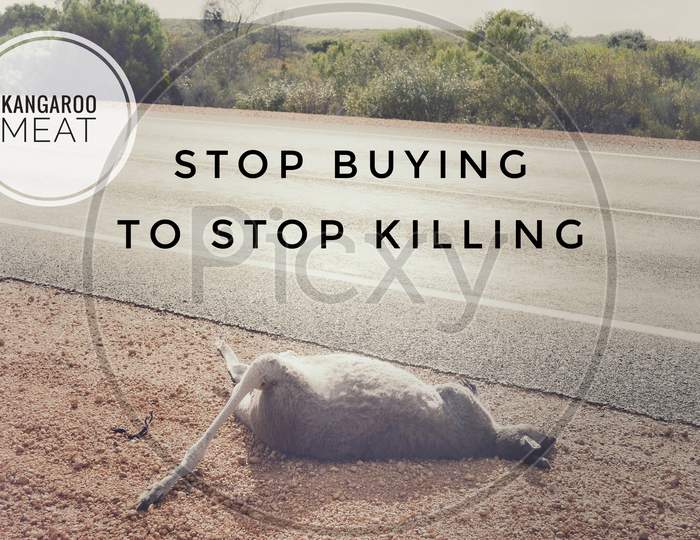 Image with wordings or quotes - Stop buying to stop killing