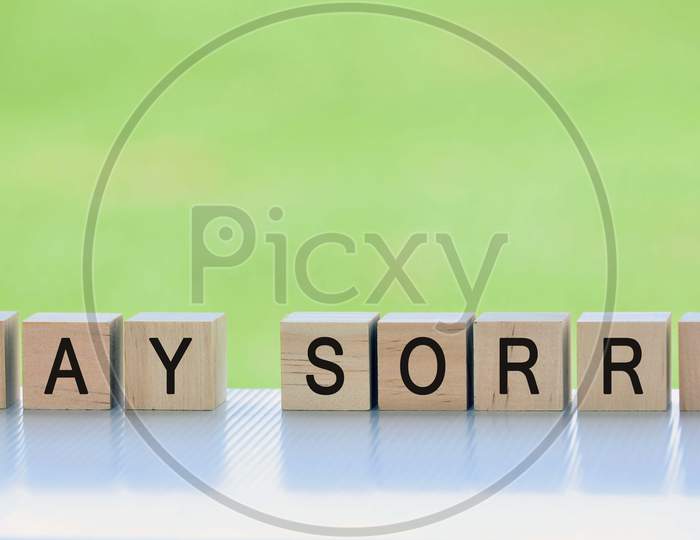 Say sorry text on wooden cube block with blurred green grass background