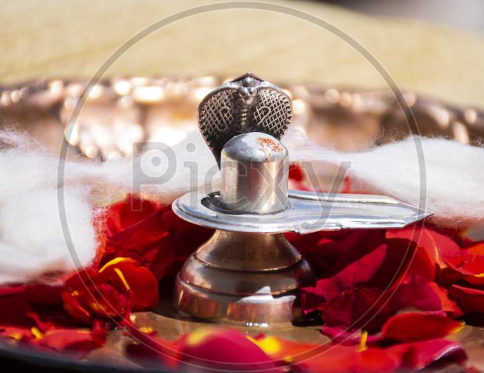 Stock Photo Of A Silver Shivlinga Which Is Icon Of Lord Shiva Snake Above Shivlinga, Being Worshiped Flowers And Cotton Garland On Occasion Of Indian Festival Mahashivratri Or Shivratri