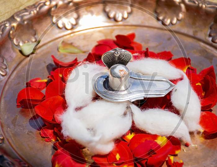 Stock Photo Of A Silver Shivlinga Which Is Icon Of Lord Shiva Snake Above Shivlinga, Being Worshiped Flowers And Cotton Garland On Occasion Of Indian Festival Mahashivratri Or Shivratri