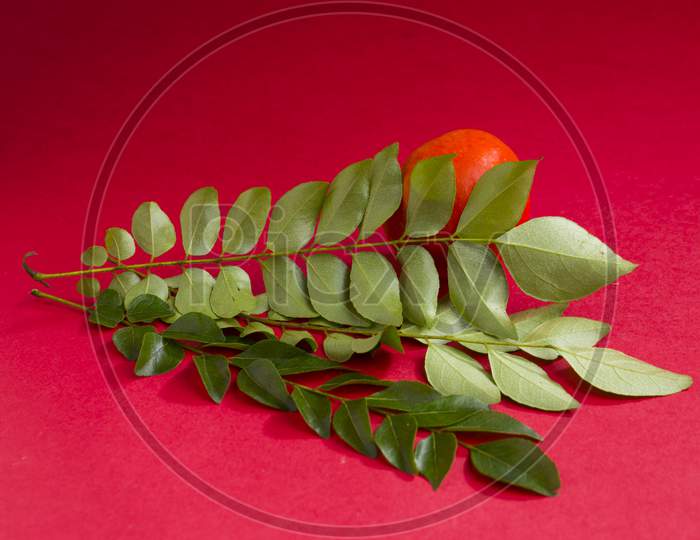 Curry Leaves  And Tomato