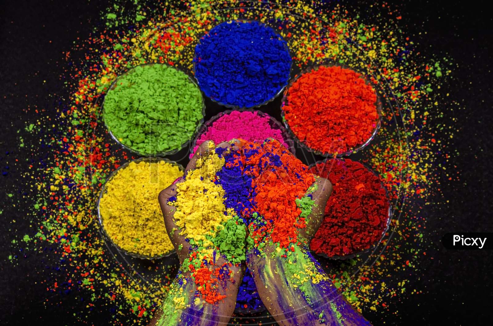 Holi Colourful Festival