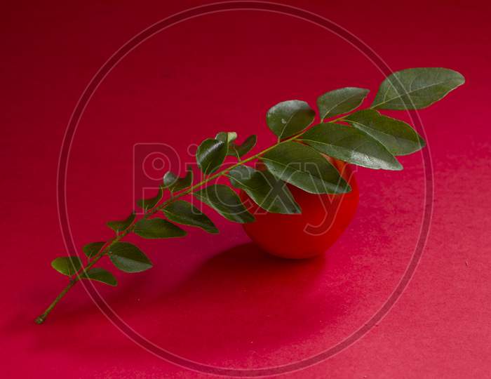 Curry Leaves  And Tomato