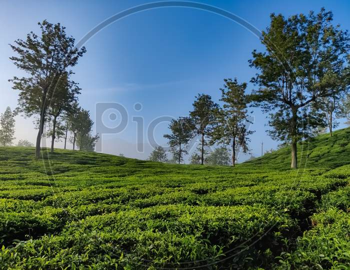A Beautiful View Of A Landscape With Hills Covered In Greens Gleaming Under The Blue Sky
