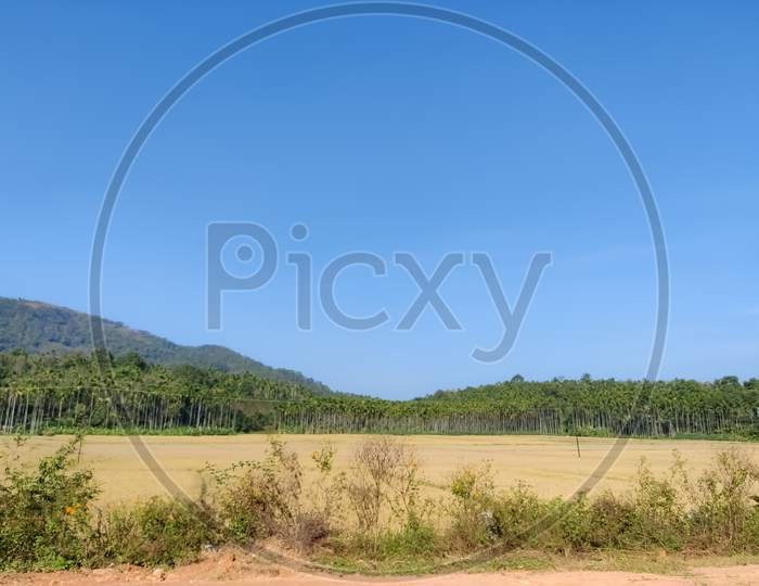 Amazing Landscape View With Greens Under The Blue Sky