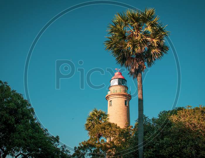 View Of Lighthouse With Palmyra Palm Tree In Foreground, Mahabalipuram, Tamil Nadu, India. Mahabalipuram Is A Town Near Chennai Famous For Rock Monuments And Is A World Heritage Site.